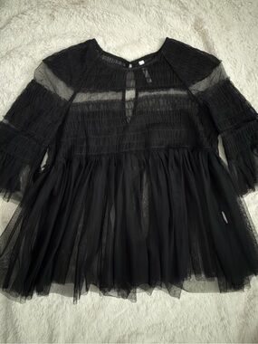 ZARA Black Tulle Sheer Top